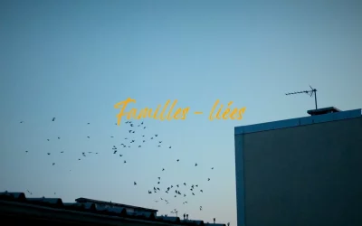 l&rsquo;ITEP Alès Cévennes présente le film « Familles liées »